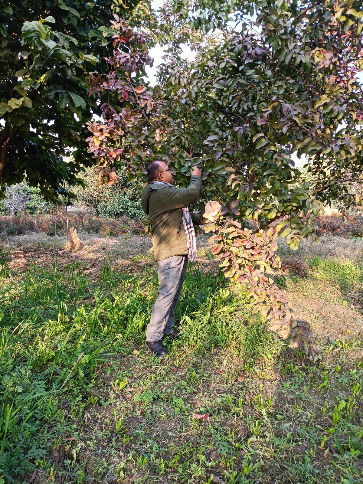 Farm gallery image