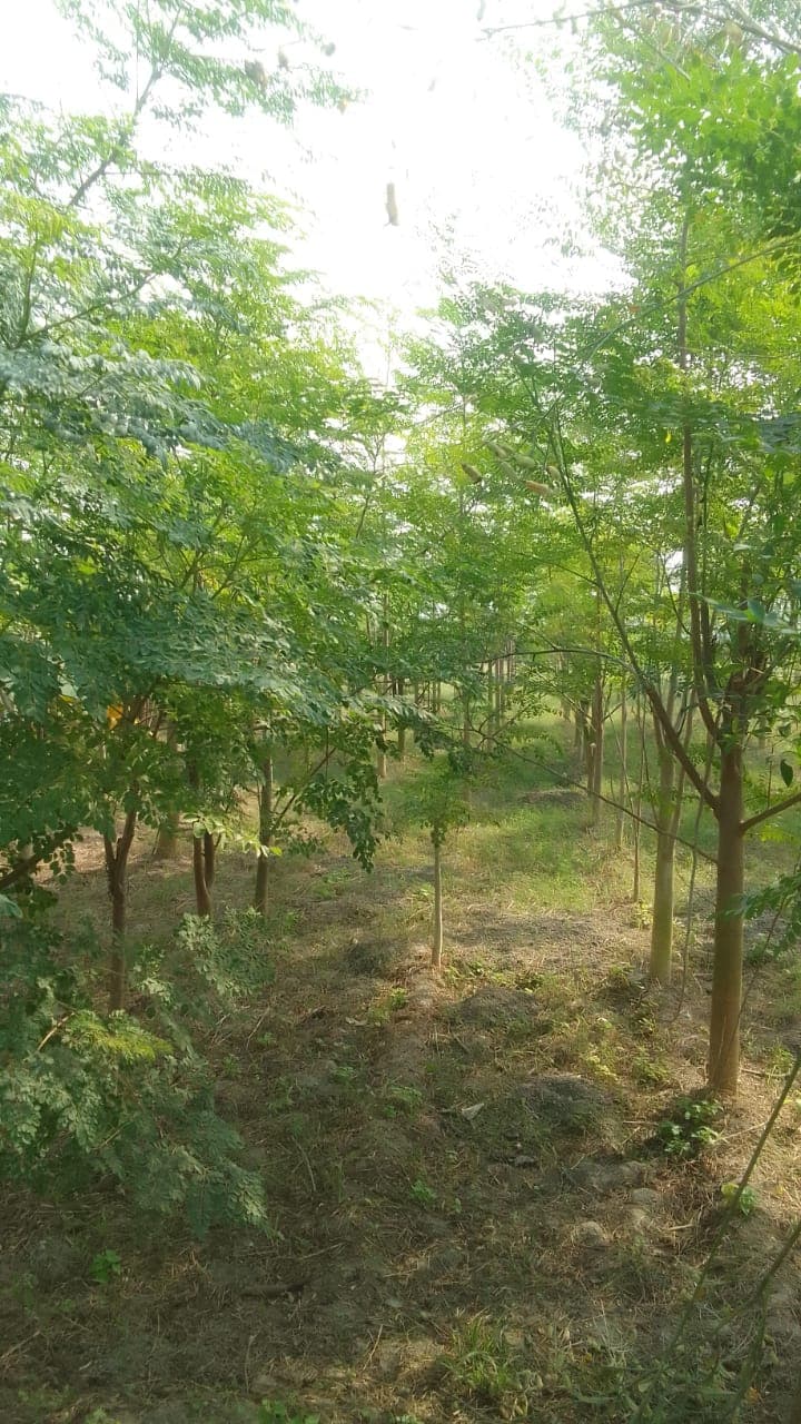 Farm gallery image